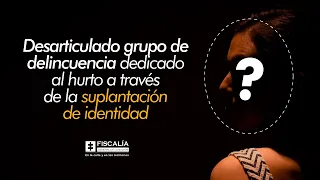 Desarticulado grupo de delincuencia dedicado al hurto a través de la suplantación de identidad