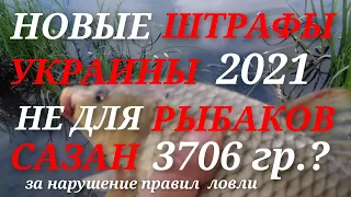 НОВЫЕ ШТРАФЫ УКРАИНЫ 2021/Не для рыбаков/Сазан 3706гр.? за нарушение правил ловли #штраф