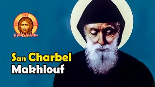 SAN CHARBEL: el Último de los Grandes Ermitaños