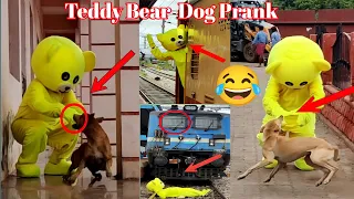 Teddy Bear Prank😂on | Dog🐕| and railway station #teddy #india #dog #funnydogvideos #teddybearprank