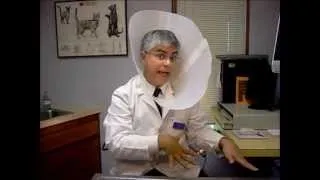 How to put together an Elizabethan collar