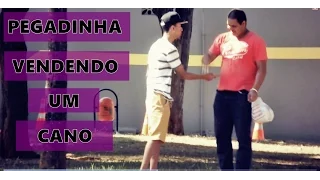 PEGADINHA: VENDENDO UM CANO