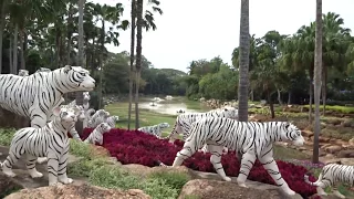 Тайланд 2016г. Pattaya. Парк Нонг Нуч, шоу слонов, трансы