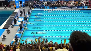 Leon Marchand NCAA RECORD 200 Breast 1:46.35 | Men's 200 Breast A Final | 2024 NCAA Championship