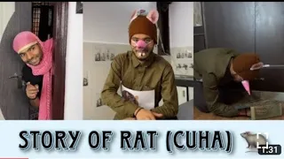 Story of rat (cuha) || chimkandi #treanding #35ontrending #viral