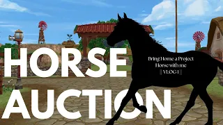 HORSE AUCTION || BUYING A PROJECT HORSE?! || STAR'S JOURNEY: VLOG 1 || SSO RRP