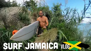 Surfing Solo in Jamaica (and a free coconut) 🥥