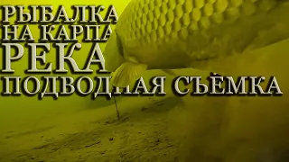 РЫБАЛКА НА КАРПА Река Подводная съёмка