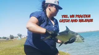 Velddrif west coast fishing & RWCFA. FLASH BACK - Lichia Amia AKA the Leervis