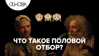 Механизмы ЭВОЛЮЦИИ: Как работает ПОЛОВОЙ ОТБОР и КОНКУРЕНЦИЯ? Михаил Гельфанд / Основа. Коротко