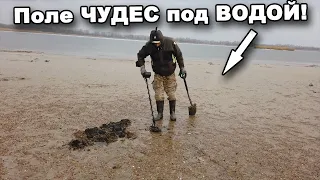 Поле ЧУДЕС под ВОДОЙ! Часть 1.  В поисках сокровищ / In search of treasures