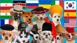 Dog | in different languages | part 2