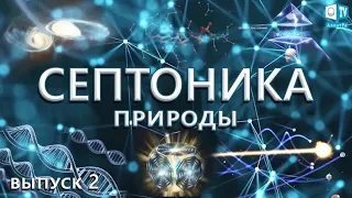 Единое информационное поле Вселенной и духовные Знания | Септоника природы №2 (08.09.2018)