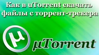 Как в uTorrent скачать файлы с торрент-трекера