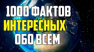 1000 ИНТЕРЕСНЫХ ФАКТОВ ОБО ВСЕМ НА СВЕТЕ