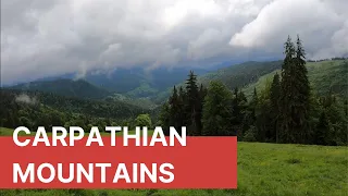 Carpathian mountains Romania,  discover the wild carpathian forests