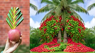 Great !! Grafting Coconut with Apples Fruit To Get a Lot of Fruit