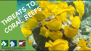 Threats to Coral Reefs