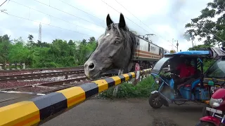 Dangerous Angry Horse Headed NJP Shatabdi Express Furious Aggressive Passing Throughout Railgate
