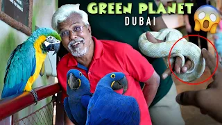 We Touched a SNAKE😨 at Birds & Reptiles Park in Dubai | The Green Planet 💚