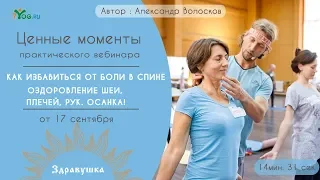 Ценные моменты вебинара «Здоровый позвоночник. Шея, плечи, осанка. от 17 сентября