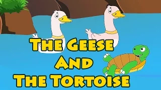 The Geese And The Tortoise - Short Story For Toddlers And Babies