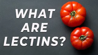 Lectins - What are they?