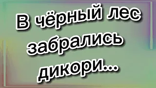 ..........🤣🤣🤣🤣#ОТ УЛЫБКИ#ПЕРНУЛ БЕГЕМОТ#