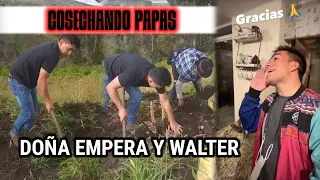 Doña Empera y Walter cosechando papás | El Champ les tengo un regalo