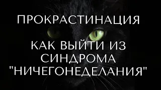 ПРОКРАСТИНАЦИЯ, КАК ВЫЙТИ ИЗ СОСТОЯНИЯ НИЧЕГОНЕДЕЛАНИЯ 🌒🌕🌘#алиятаро #тароонлайн #таро