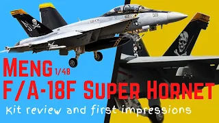 Meng 1/48 F/A-18F Super Hornet Kit Review