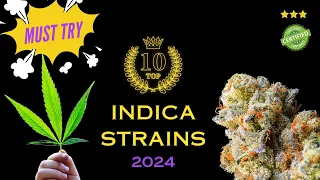 Top 10 Indica Strains in 2024 - Every Grower Must Try!!