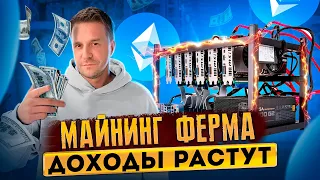 Б/У МАЙНИНГ ФЕРМА: ДОХОДЫ РАСТУТ!