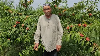 "ЧУЛДАГИ  ЖАННАТ" Куринг сиз хам ДУО га шерик булинг.