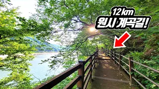 🚌 60년만에 발견! 토박이들도 몰랐던 숨겨진 원시 계곡 12km 트레킹 코스 | 📸 대중교통 여행 | Korea's primitive valley trekking course