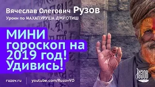 Мини гороскоп на 2019 год! Год свиньи. Школа ведической астрологии. Урок 13