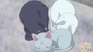 Sailor moon: Rockabye