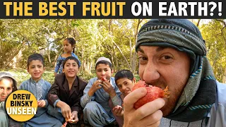 I FOUND THE BEST FRUIT ON EARTH (AFGHANISTAN)
