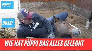 Wie hat Püppi alles gelernt , Gelände oder Platz, Bossi wenn dein Geschisterchen da ist