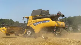 Уборка ячменя 2023г. Комбайн New Holland CR8.90.