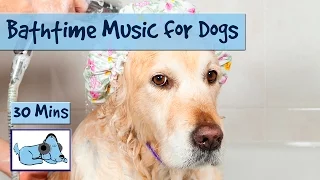 Music To Calm Your Dog During Grooming 🐶 #GROOM02