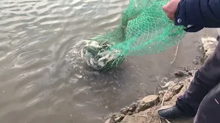 Рыбалка в Коксарае