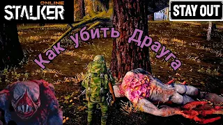 Stalker Online/Stay Out. Как в одиночку убить Драуга