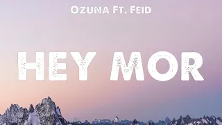Ozuna Ft. Feid - Hey Mor (Lyrics) Quevedo, KAROL G, Romeo Santos, Daddy Yankee, Justin Quiles & ...
