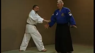 Odbrana - Learn Real Aikido - Adults Brown Belt