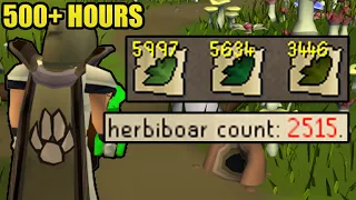 I spent 500 hours collecting these... (HC Group Ironman #54) [OSRS]