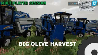 First Olive Harvest   on Haut-Beyleron | Farming Simulator 22