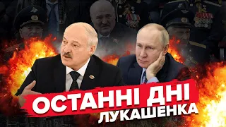 🤡Лукашенка ОТРУЇЛИ на параді? / Пригожин ЗІРВАВСЯ / ГАЗМАНОВ заступився за Ані Лорак @Vestiii