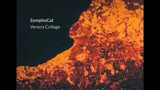SymphoCat - Venera Collage