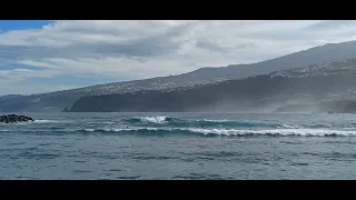 Surfing in Puerto de la Cruz - Tenerife North